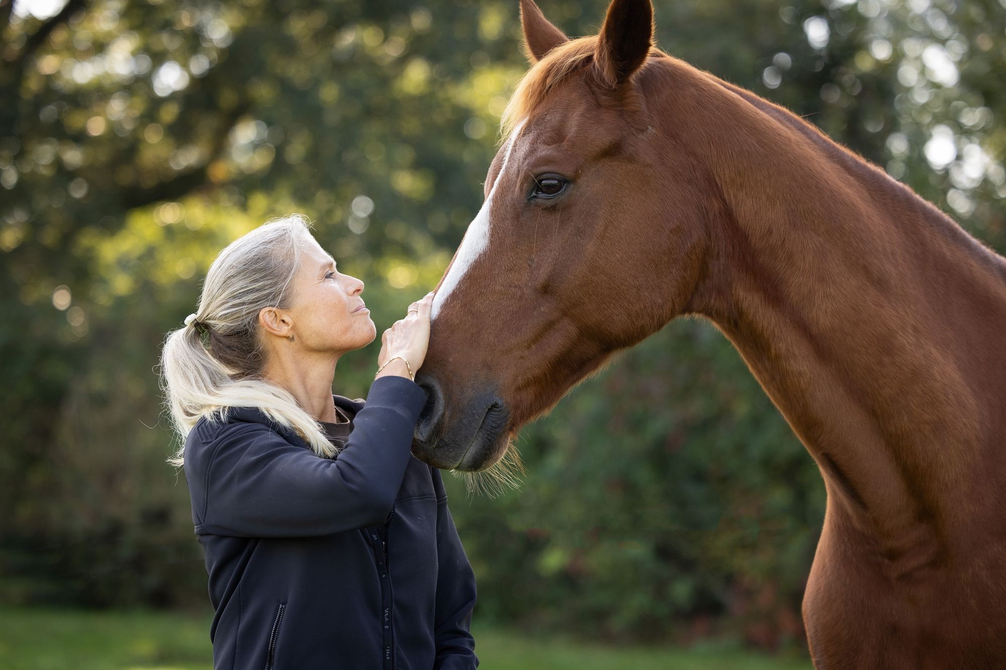 Een vrouw legt haar hand op de neus van Gorgeous, een vos met een witte bles. Ze kijken elkaar rustig aan.