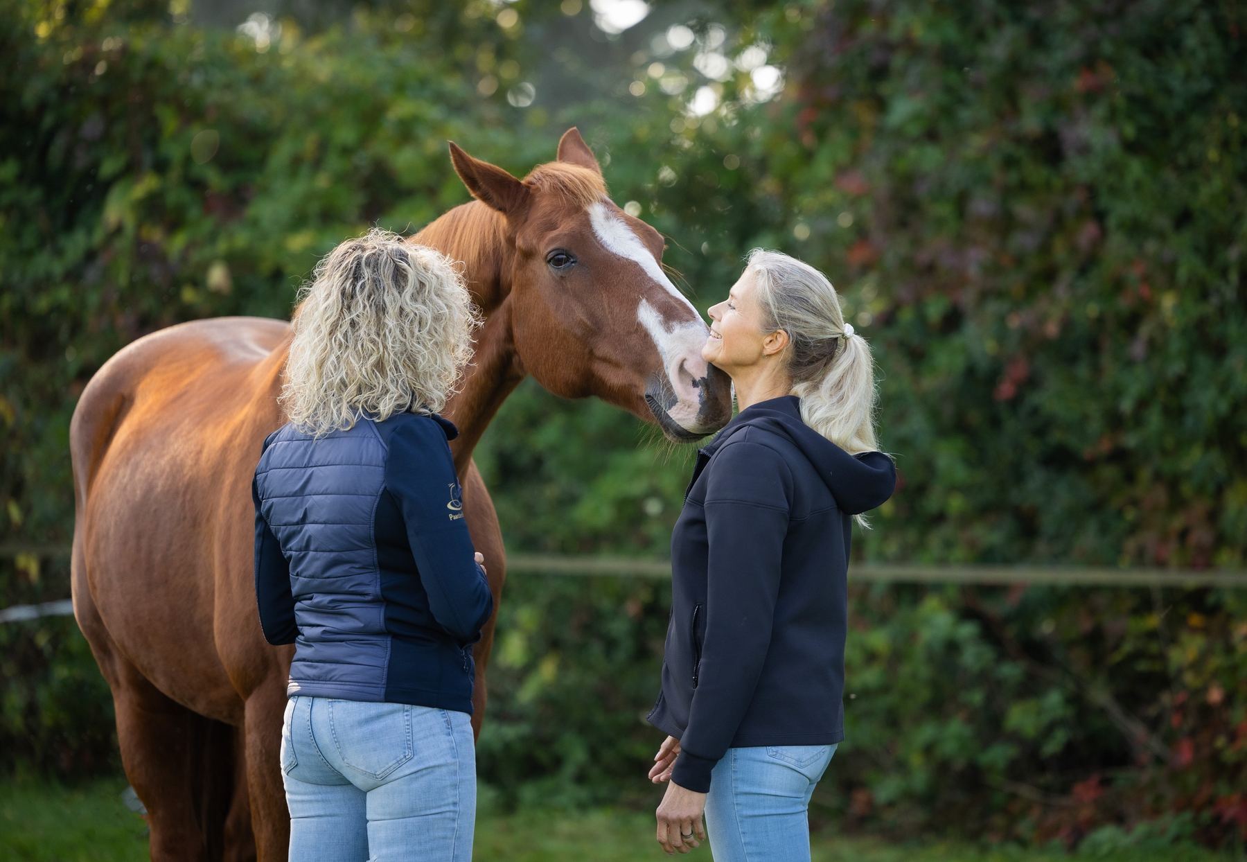 Twee vrouwen staan bij Gorgeous in de wei. Gorgeous raakt een van hen met de neus aan.
